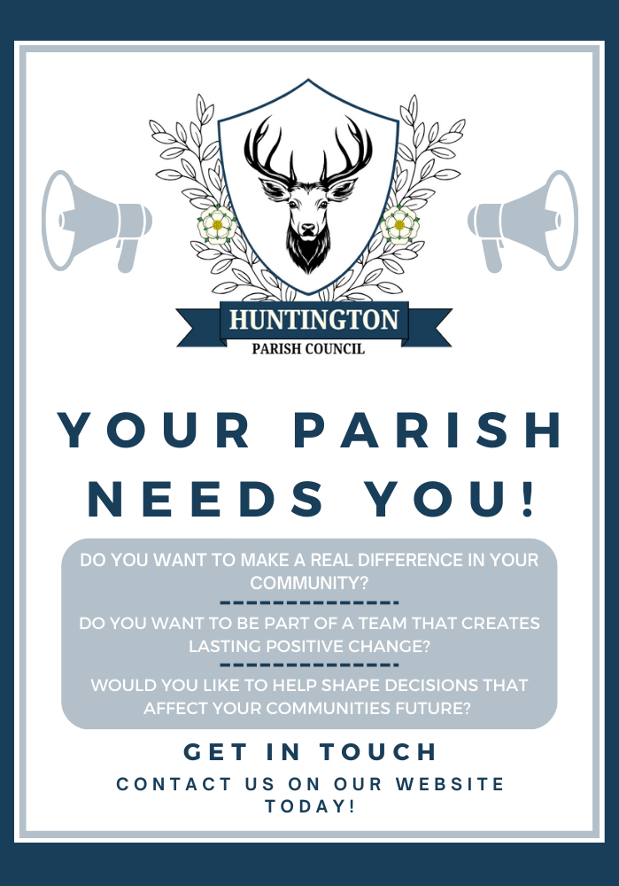 Website Zine (1).png
